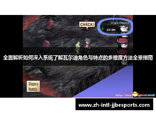 全面解析如何深入系统了解瓦尔迪角色与特点的多维度方法全景指南